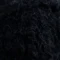 01 Black raven